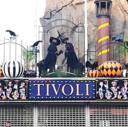Cinema Teatro Tivoli, Bologna orari di apertura