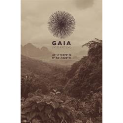Gaia Ristorante Caffetteria, Piacenza orari di apertura