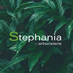 Stephania Erboristerie, San Benedetto del Tronto orari di apertura