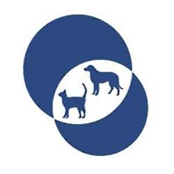 CLINICA VETERINARIA ARETUSEA di PANTANO STEFANO, Siracusa orari di apertura