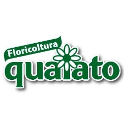 Floricoltura Quaiato, Azzano orari di apertura