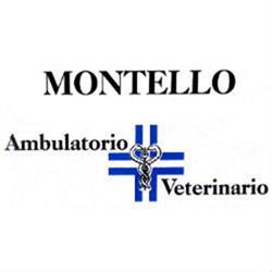 Ambulatorio Veterinario Associato "Montello", Montebelluna orari di apertura