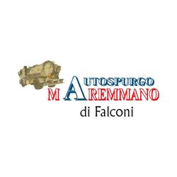 Autospurgo Maremmano Autospurgo Falconi, Grosseto orari di apertura