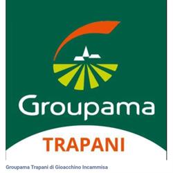 Groupama S.p.A. Agente Generale Incammisa Gioacchino, Trapani orari di apertura