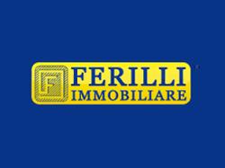 Ferilli Immobiliare Castrignano del Capo, orari di apertura