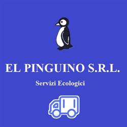 El Pinguino Srl, Calenzano orari di apertura