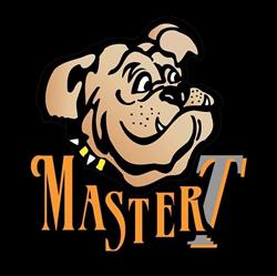 Master T Srl, Villa San Giovanni orari di apertura