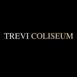 Trevi-Coliseum srl, Longarone orari di apertura