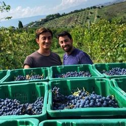Vigneti Vallorani, Colli del Tronto orari di apertura