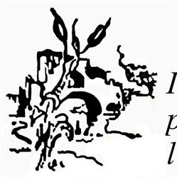 Insieme per l'Aniene APS c/o Casa del Parco, Roma orari di apertura