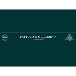 Fattoria di Migliarino, Vecchiano orari di apertura