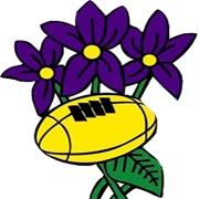 AMATORI PARMA RUGBY CLUB ASD, Parma orari di apertura
