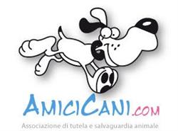 AmiciCani, Parma orari di apertura