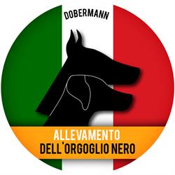 Allevamento-Dobermann Dell'Orgoglio Nero, Nepi orari di apertura