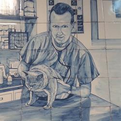Studio Veterinario Ansaldo Genova, orari di apertura
