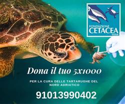 Progetto Sole di Fondazione Cetacea Onlus., Riccione orari di apertura