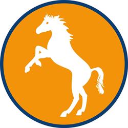 Camping Village Cavallino, orari di apertura