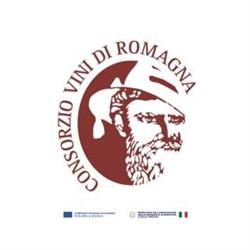 Consorzio Vini di Romagna, Faenza orari di apertura