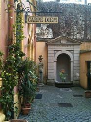 Carpe Diem Travel Agency, Roma orari di apertura