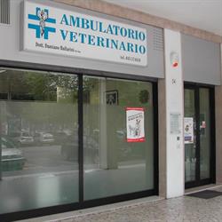Ambulatorio Veterinario Ballarini, Verona orari di apertura