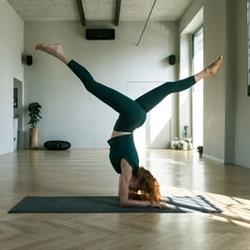 Yoga e Tai Chi Chuan Lotus Pocus Milano, orari di apertura