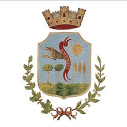 Comune di Savignano Irpino, orari di apertura