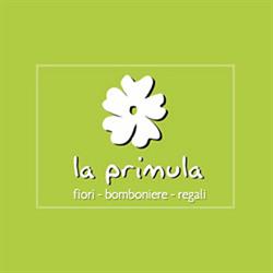 Fiori e Piante La Primula, Foligno orari di apertura