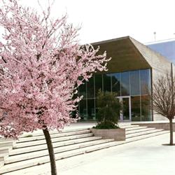 Teatro Comunale Lea Padovani, Montalto di Castro orari di apertura