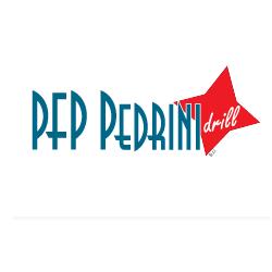 Pfp Pedrini S.r.l., Fidenza orari di apertura