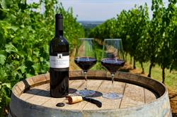 Poderi di San Pietro, San Colombano al Lambro orari di apertura