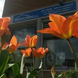 Bonini Infissi srl, Modena orari di apertura
