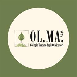 Collegio Toscano degli Olivicoltori OL.MA. S.a.c Grosseto, Montepescali - Orari di apertura