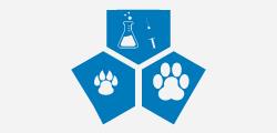 Ambulatorio Veterinario Iaccarino, Piano di Sorrento orari di apertura