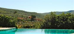 Fattoria Agriturismo Ghezzi Laterina Pergine Valdarno, Pieve A Presciano - Orari di apertura