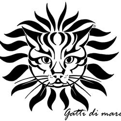 Gatti di mare, Venezia orari di apertura