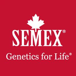 Semex Italia, Codogno orari di apertura