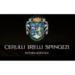 Tenuta Cerulli Spinozzi, Canzano orari di apertura