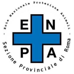 Enpa Sezione di Roma, orari di apertura