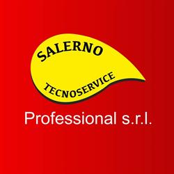 SALERNO TECNOSERVICE PROFESSIONAL srl, Palagonia orari di apertura