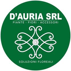 D'Auria Ingrosso Piante & Fiori Lamezia Terme, Bella Di Lamezia Terme - Orari di apertura
