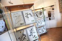 Museo Naturalistico Lubriano, orari di apertura