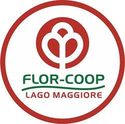 FLOR COOP LAGO MAGGIORE, Nebbiuno orari di apertura