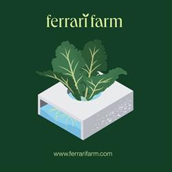 Ferrari Farm Società Agricola Srl, Petrella Salto orari di apertura