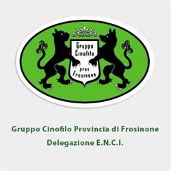 Gruppo Cinofilo Provincia di Frosinone, orari di apertura