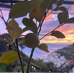 Agriturismo Villa Maria, Minori orari di apertura