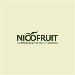 Nicofruit, Scanzano Jonico orari di apertura