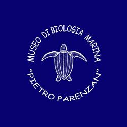Museo di Biologia Marina "Pietro Parenzan", Porto Cesareo orari di apertura