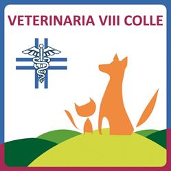 Veterinaria VIII Colle, Roma orari di apertura