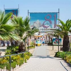 Rimini Dog No Problem - Bagno 81, orari di apertura