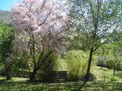 B&B Il Bogno, Lierna orari di apertura